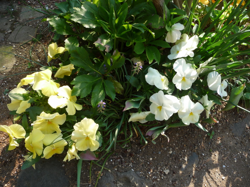 f:id:asuka201011:20130415084842j:image:w360