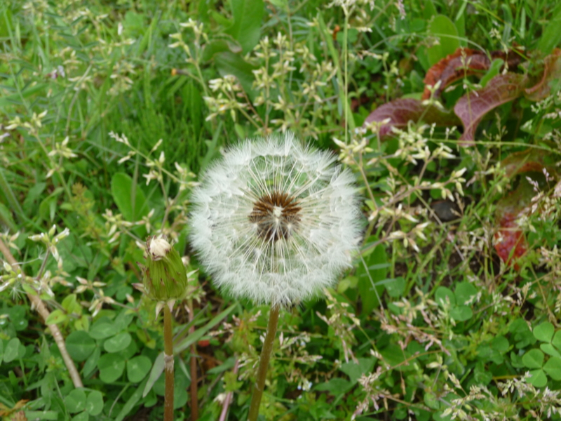 20130424142813