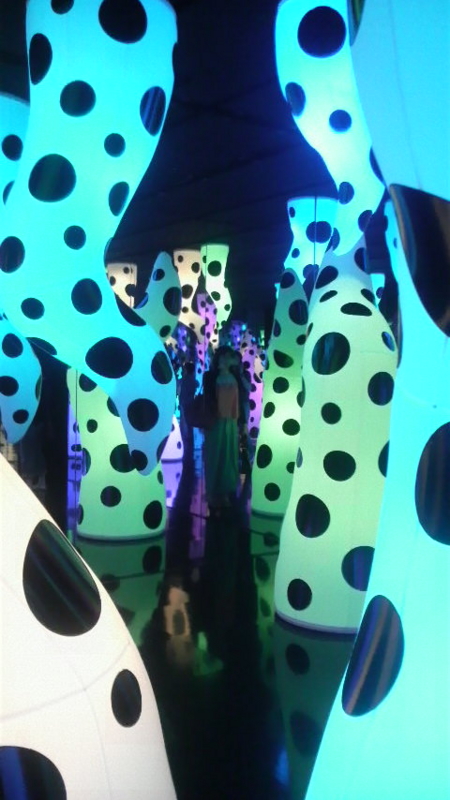 f:id:asuka201011:20130619225929j:image:w360