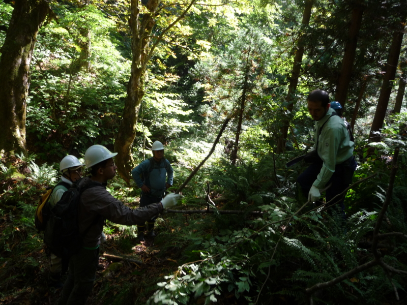 f:id:asuka201011:20130928104518j:image:w360