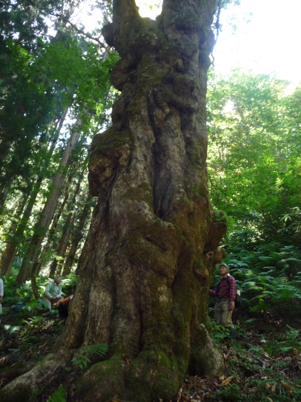 f:id:asuka201011:20130928113856j:image:w360