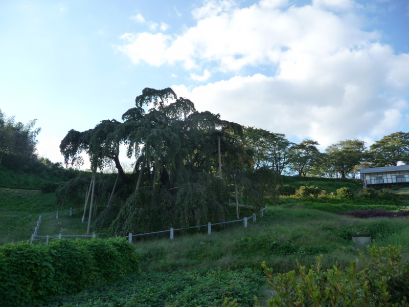 f:id:asuka201011:20130929162130j:image:w360 f:id:asuka201011:20130929162130j:image:w360