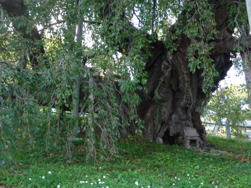 f:id:asuka201011:20130929162253j:image:w360 f:id:asuka201011:20130929162253j:image:w360