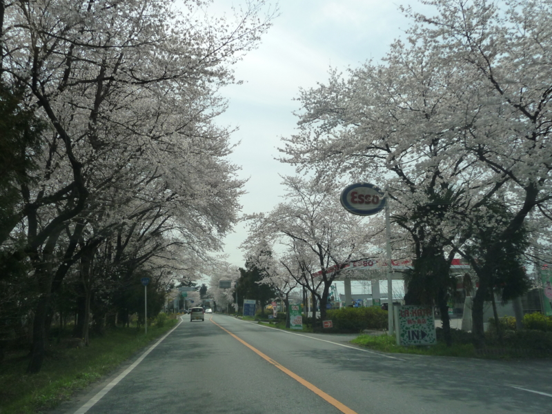 f:id:asuka201011:20140402131934j:image:w360