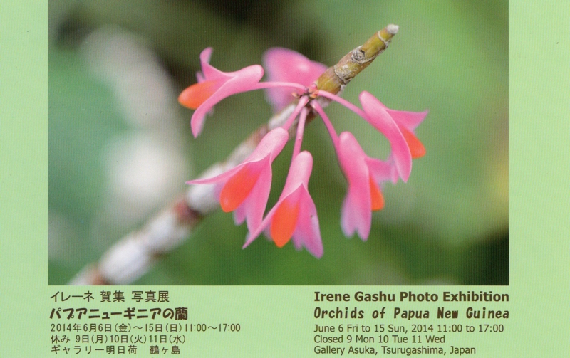 f:id:asuka201011:20140402210516j:image:w640