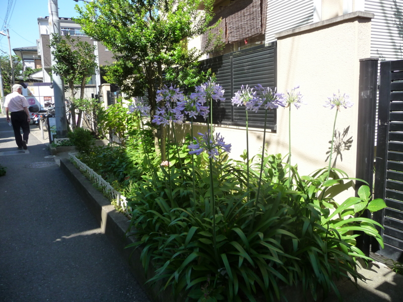 f:id:asuka201011:20140629145739j:image:w360