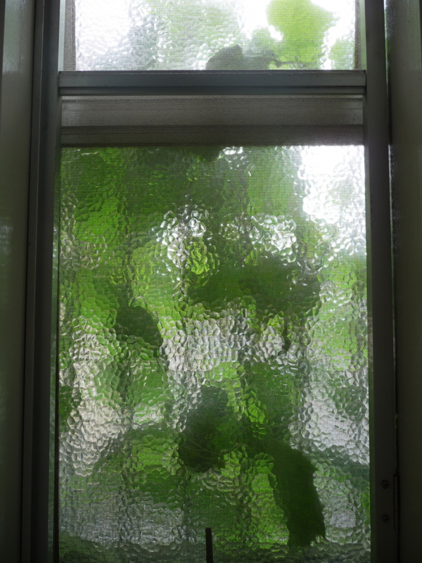 f:id:asuka201011:20140828134522j:image:w360 f:id:asuka201011:20140828134522j:image:w360