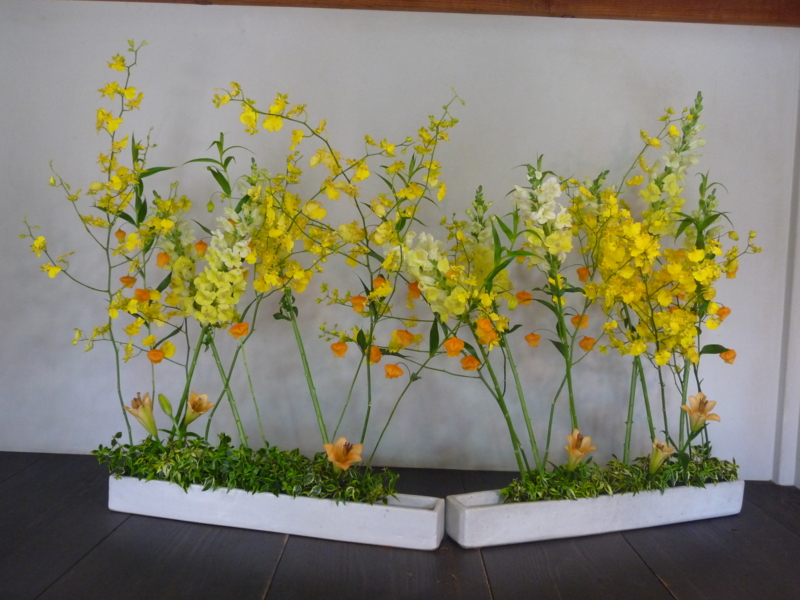 f:id:asuka201011:20141113112445j:image:w360