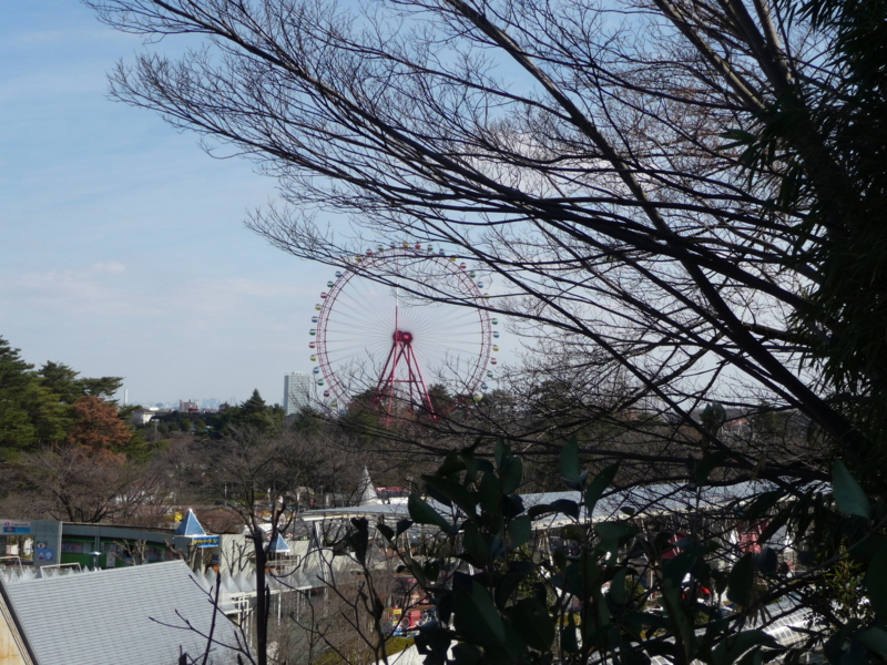 f:id:asuka201011:20150305140150j:image:w360
