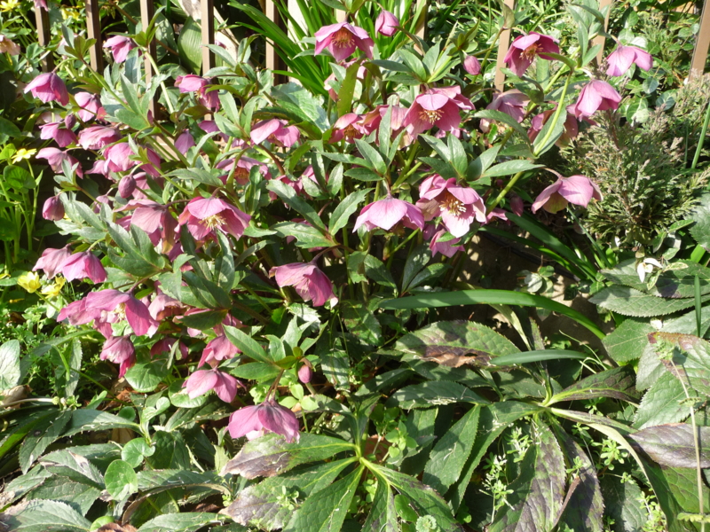 f:id:asuka201011:20150322082708j:image:w360