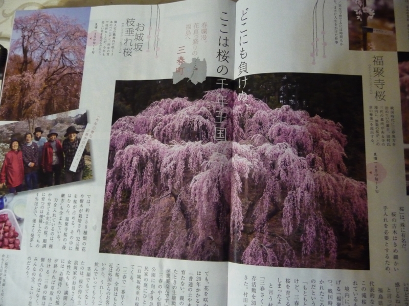 f:id:asuka201011:20150330233929j:image:w360