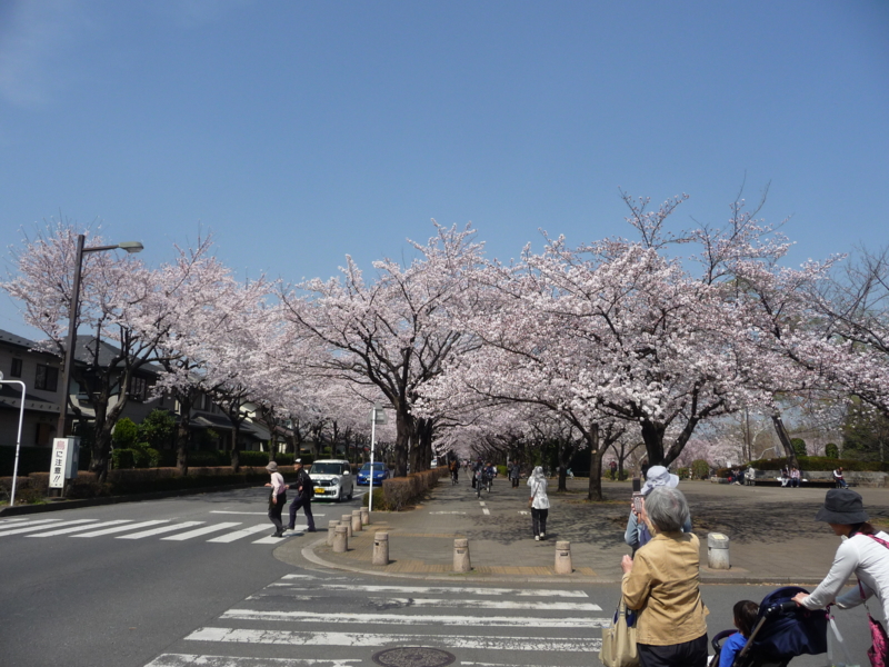 f:id:asuka201011:20150331111611j:image:w360