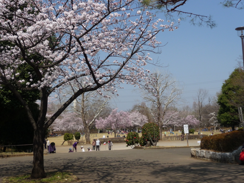 f:id:asuka201011:20150331111648j:image:w360