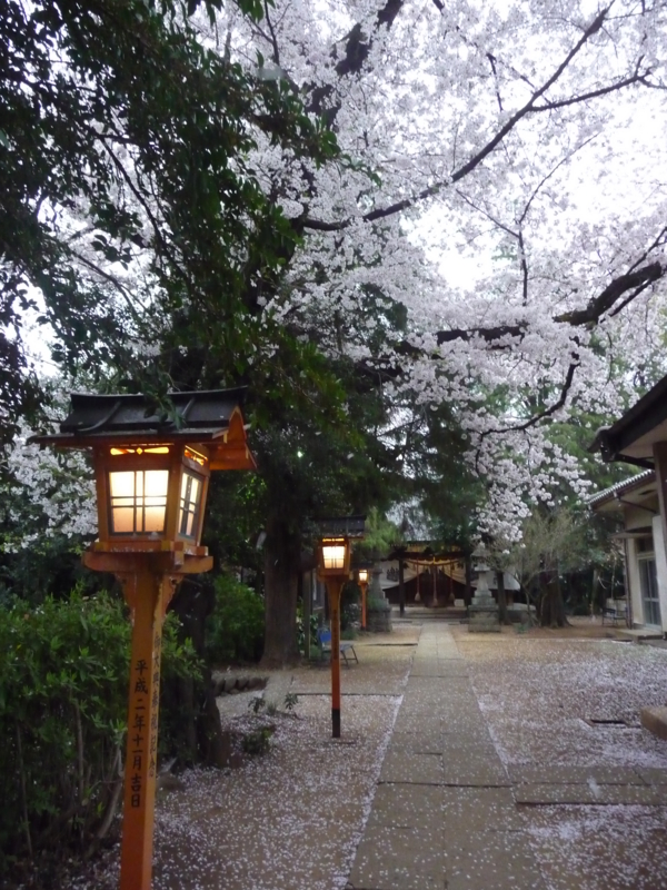 f:id:asuka201011:20150404065914j:image:w360