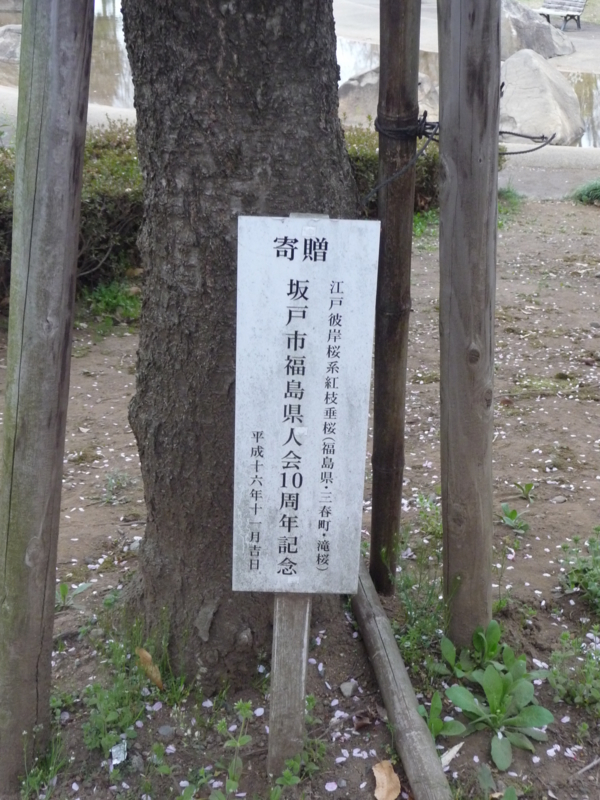 f:id:asuka201011:20150404071611j:image:w360