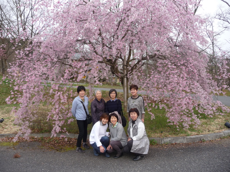 f:id:asuka201011:20150416172441j:image:w360