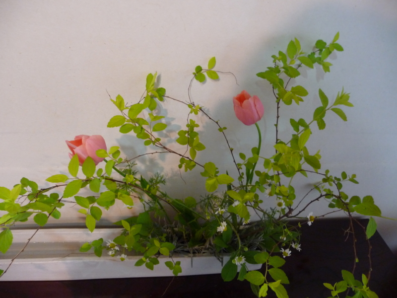 f:id:asuka201011:20150423113335j:image:w360