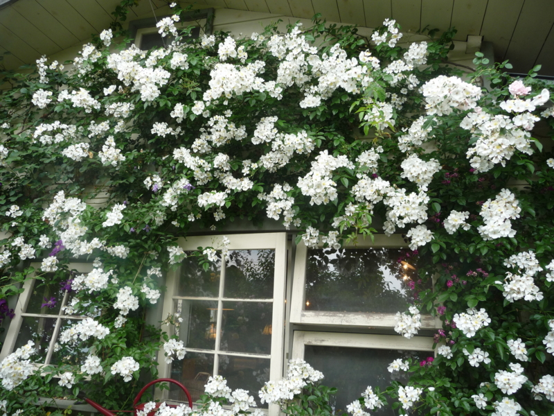 f:id:asuka201011:20150525141007j:image:w360