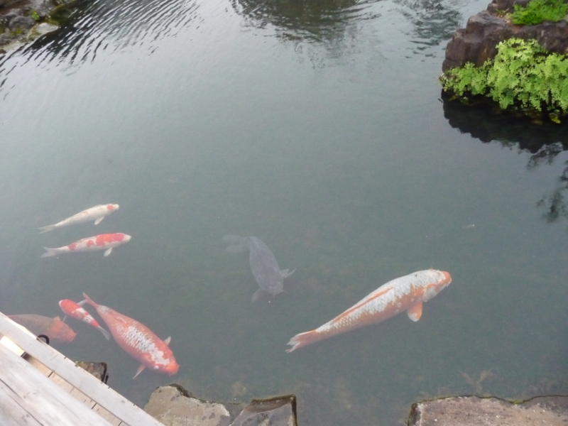 f:id:asuka201011:20150916175345j:image:w360