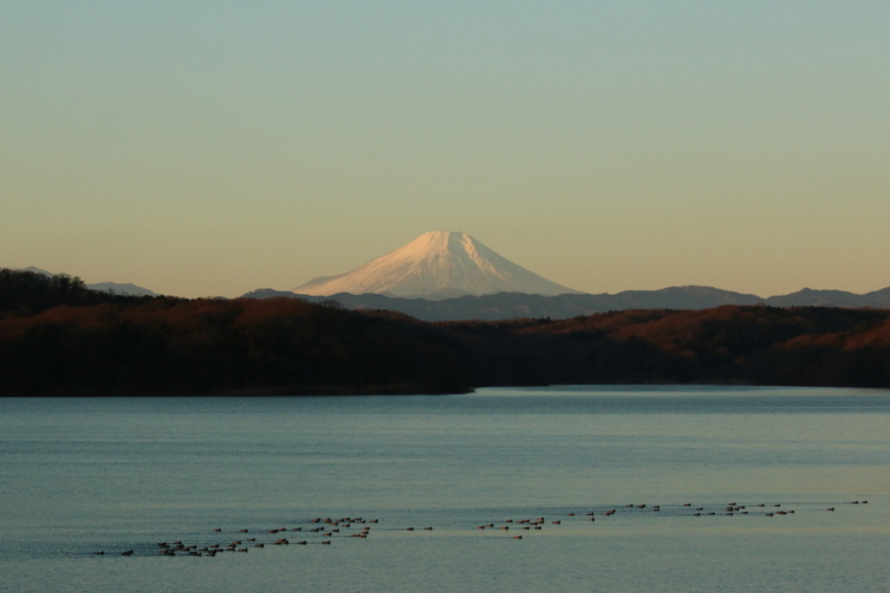 f:id:asuka201011:20151228071335j:image