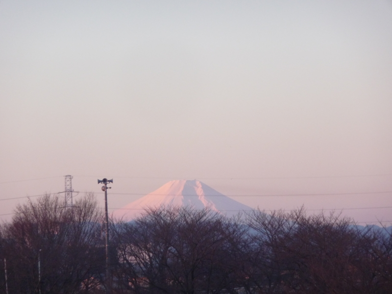 f:id:asuka201011:20170101070420j:image:w360