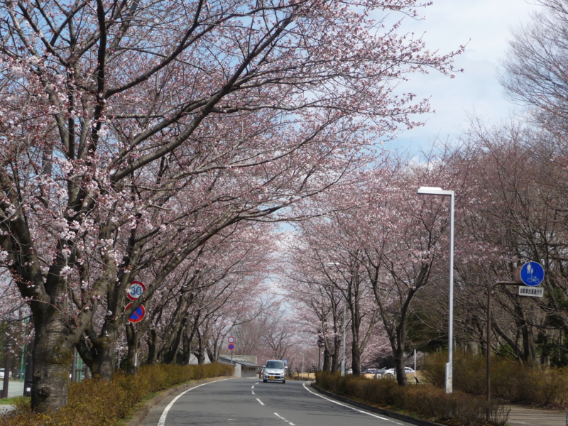 f:id:asuka201011:20170402115507j:image:w360