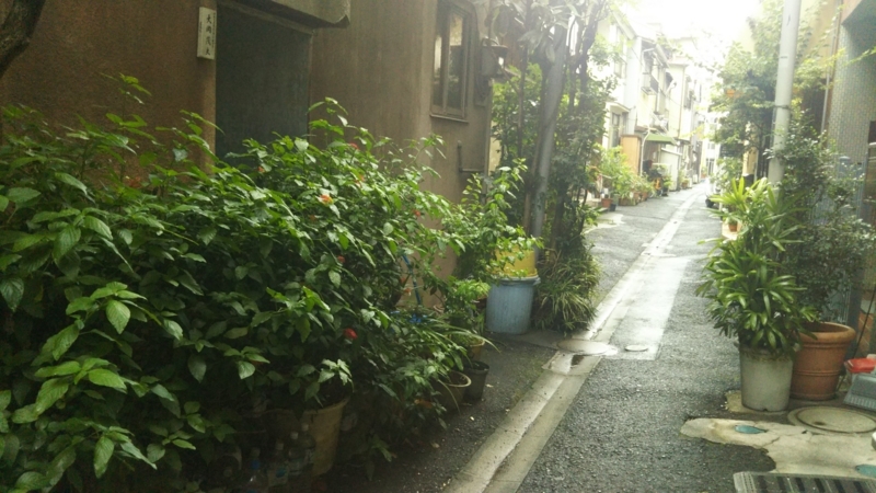 f:id:asuka201011:20170907123228j:image:w360