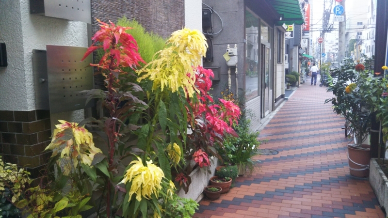 f:id:asuka201011:20170907123607j:image:w360