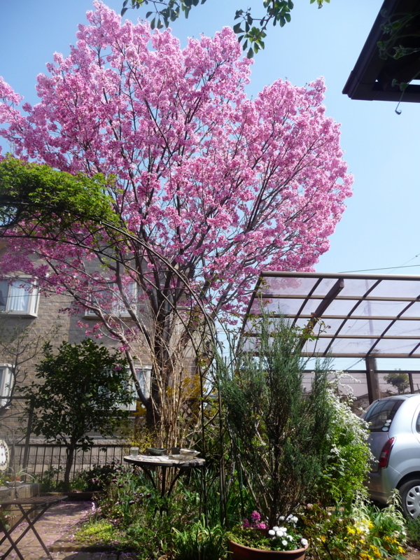 f:id:asuka201011:20180328123335j:image:w360