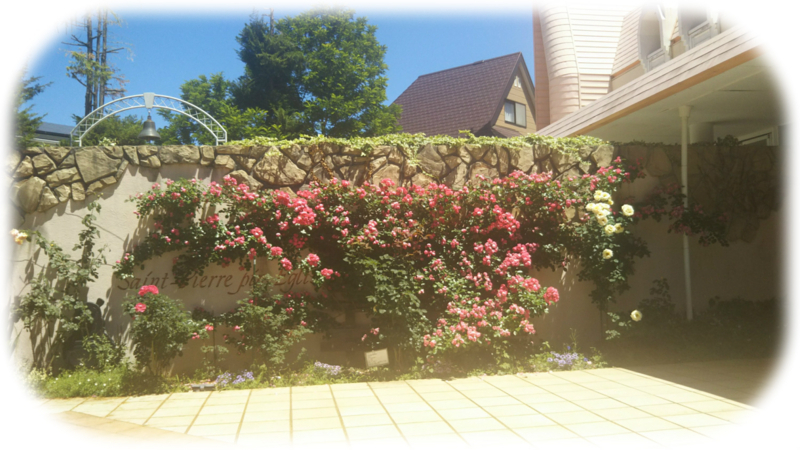 f:id:asuka201011:20180528145930j:image:w360