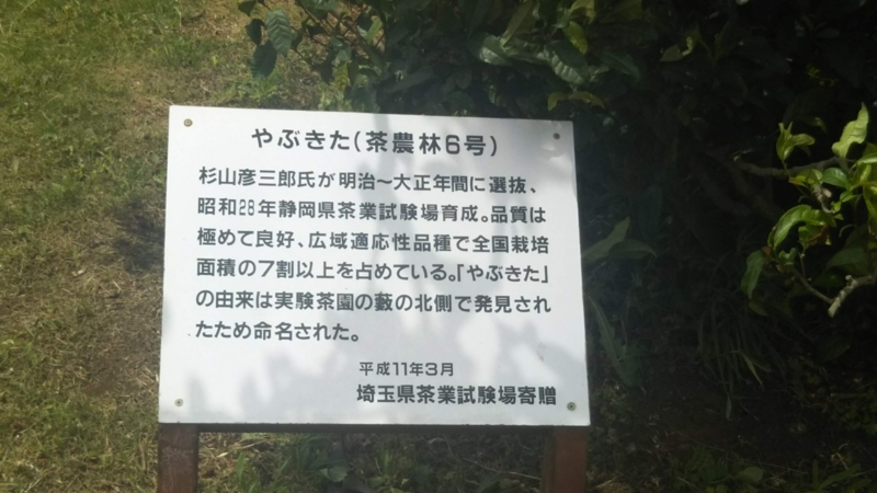 f:id:asuka201011:20180704111808j:image:w360