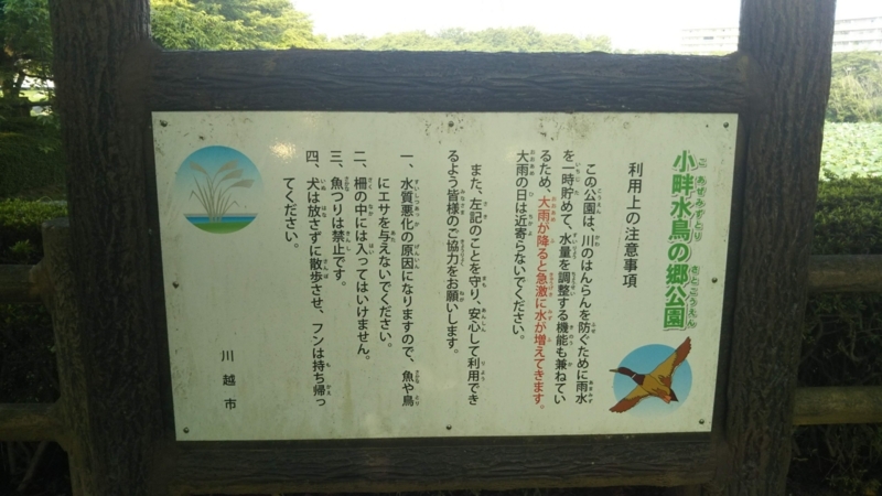 f:id:asuka201011:20180715070940j:image:w360