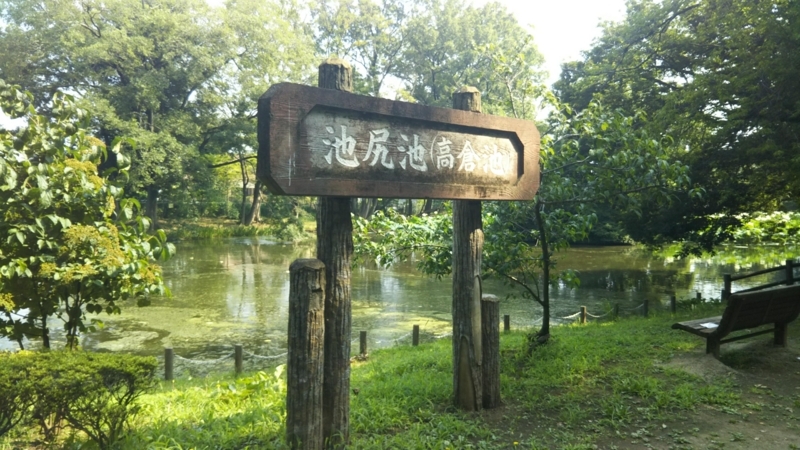 f:id:asuka201011:20180715083747j:image:w360