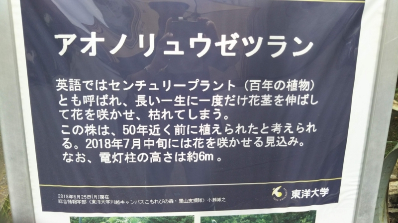 f:id:asuka201011:20180726125113j:image:w360