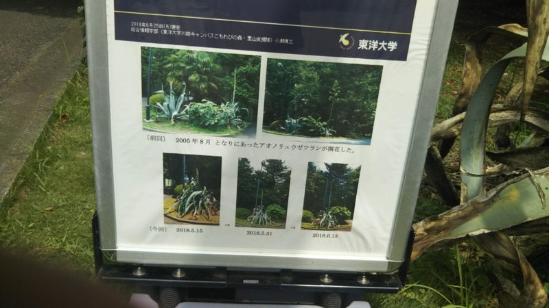 f:id:asuka201011:20180726125126j:image:w360