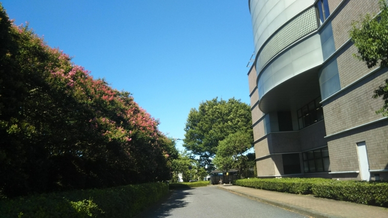 f:id:asuka201011:20180817150313j:image:w360