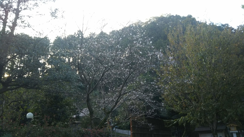 f:id:asuka201011:20181027151957j:image:w360