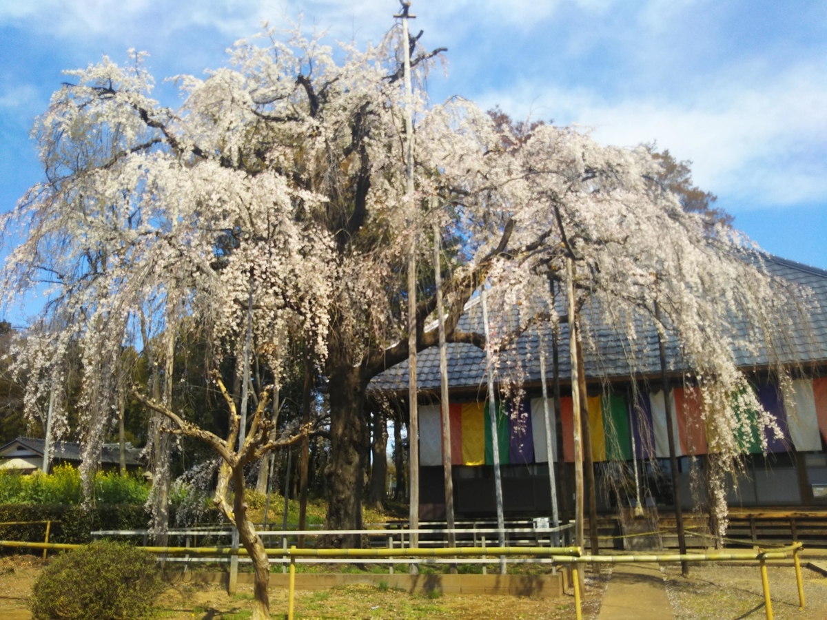 f:id:asuka201011:20190401095442j:plain