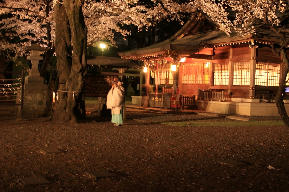 f:id:asuka201011:20190406185920j:plain