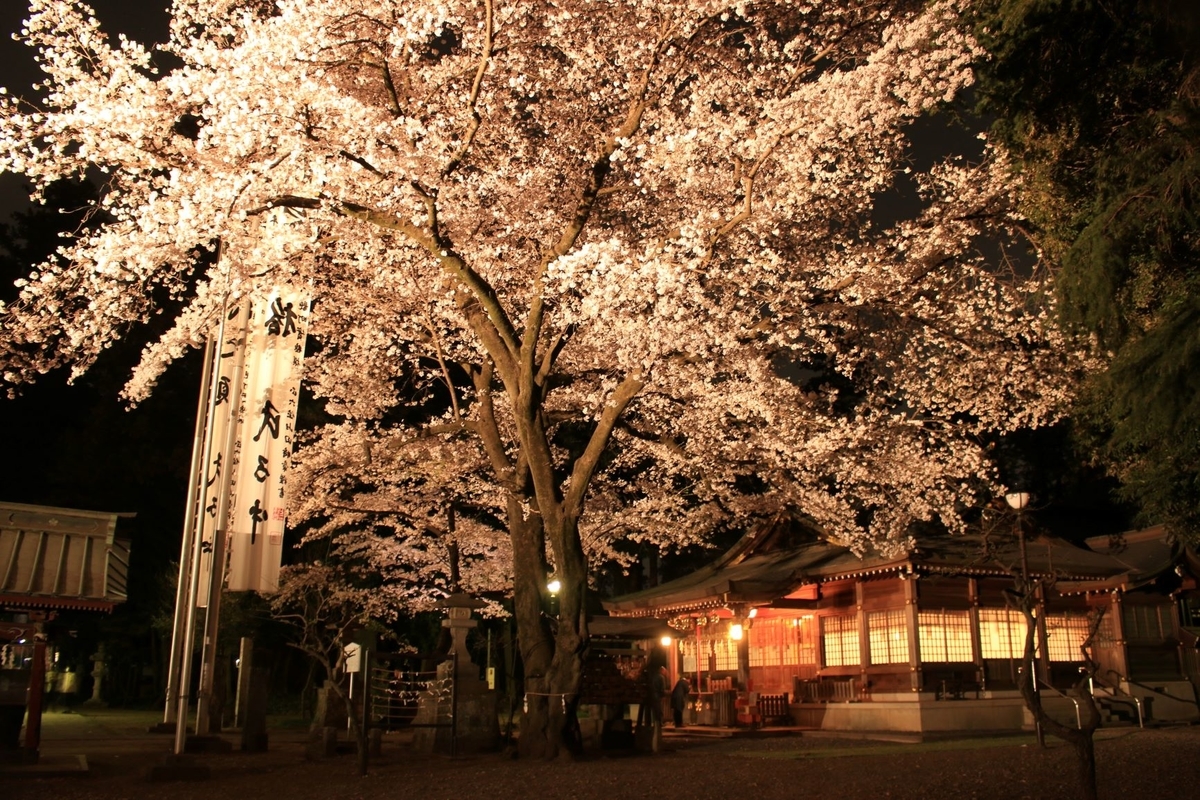 f:id:asuka201011:20190406191213j:plain