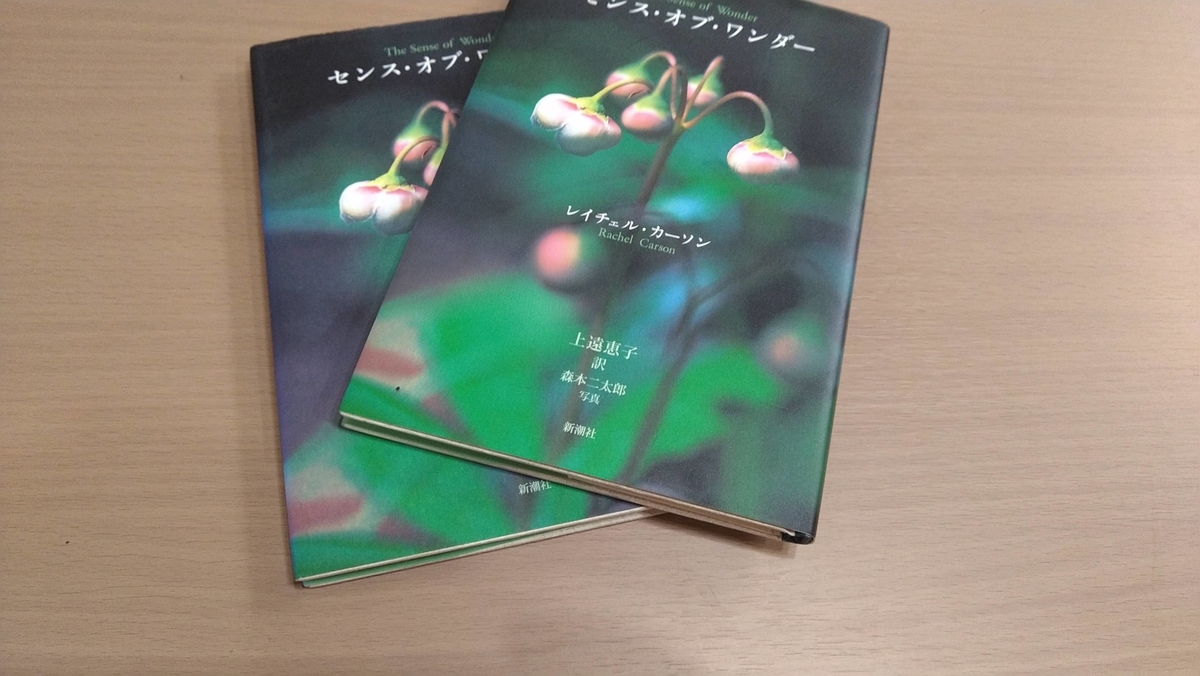 f:id:asuka201011:20200125113802j:plain f:id:asuka201011:20200125113802j:plain