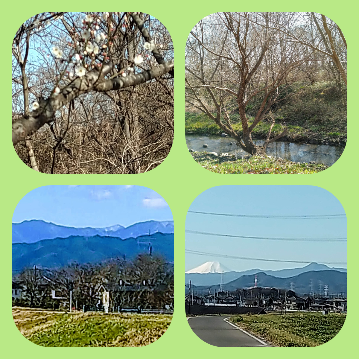 f:id:asuka201011:20200131161815j:plain f:id:asuka201011:20200131161815j:plain