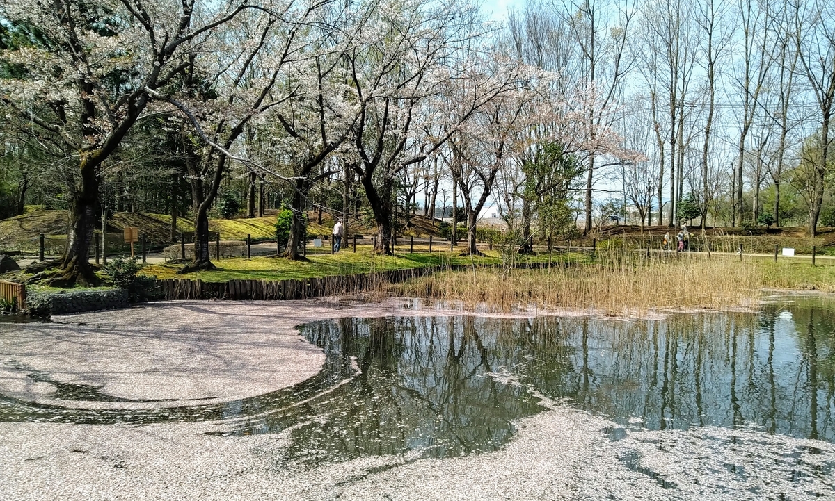 f:id:asuka201011:20200403101505j:plain f:id:asuka201011:20200403101505j:plain