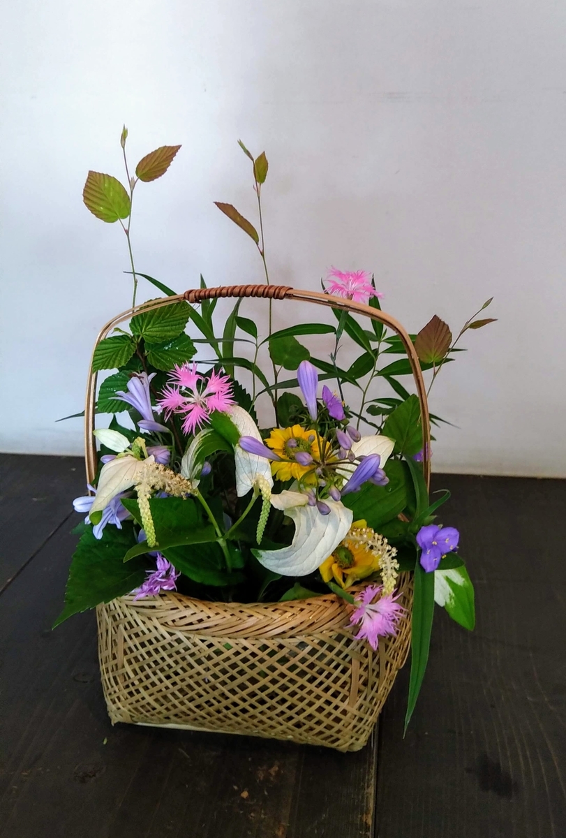 f:id:asuka201011:20200620073131j:plain