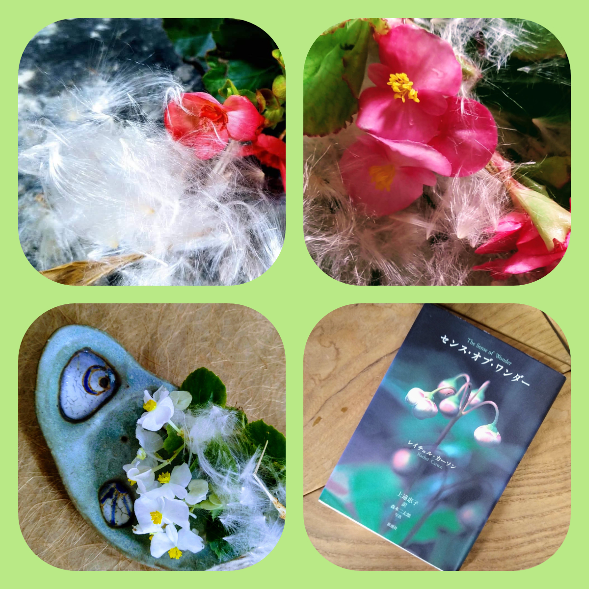 f:id:asuka201011:20200809231051j:plain