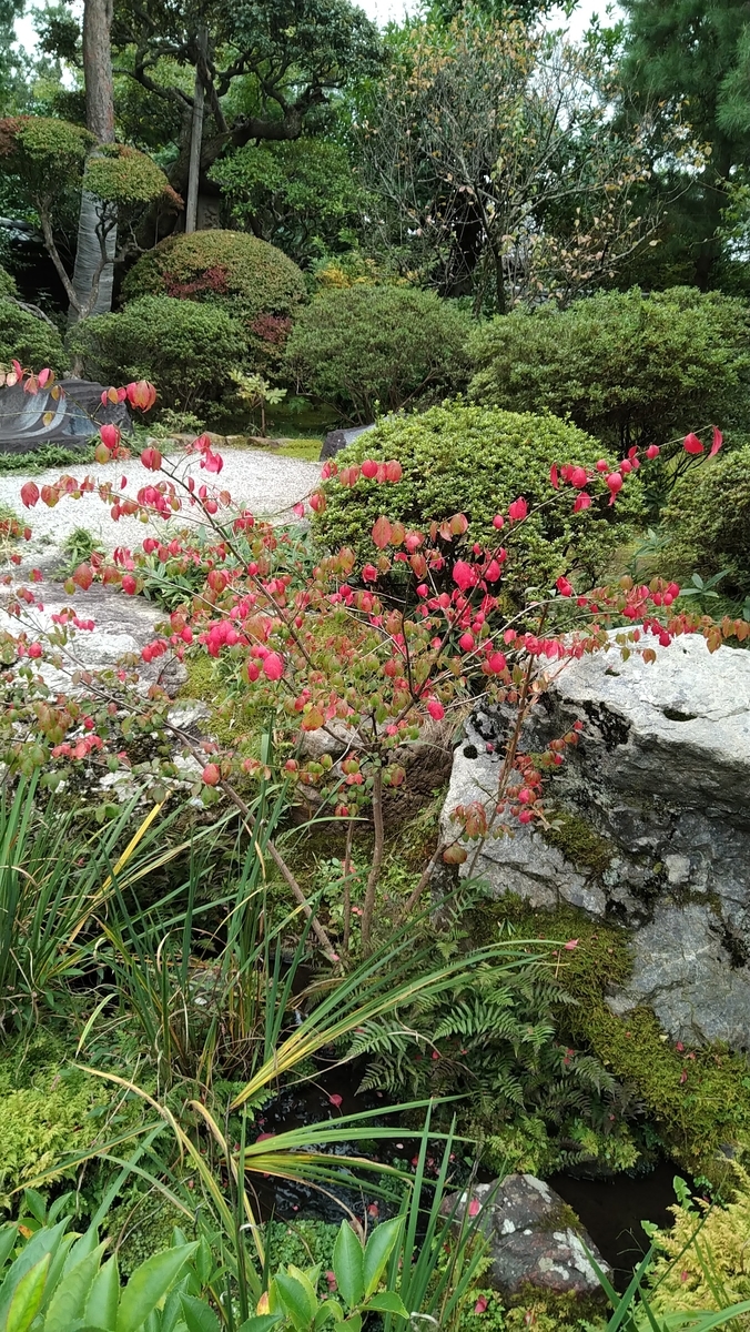 f:id:asuka201011:20201015114404j:plain