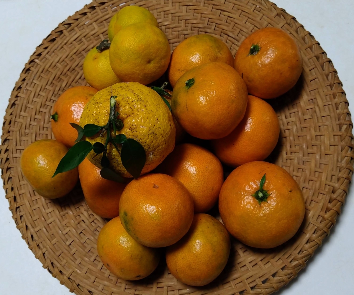 f:id:asuka201011:20201117201412j:plain