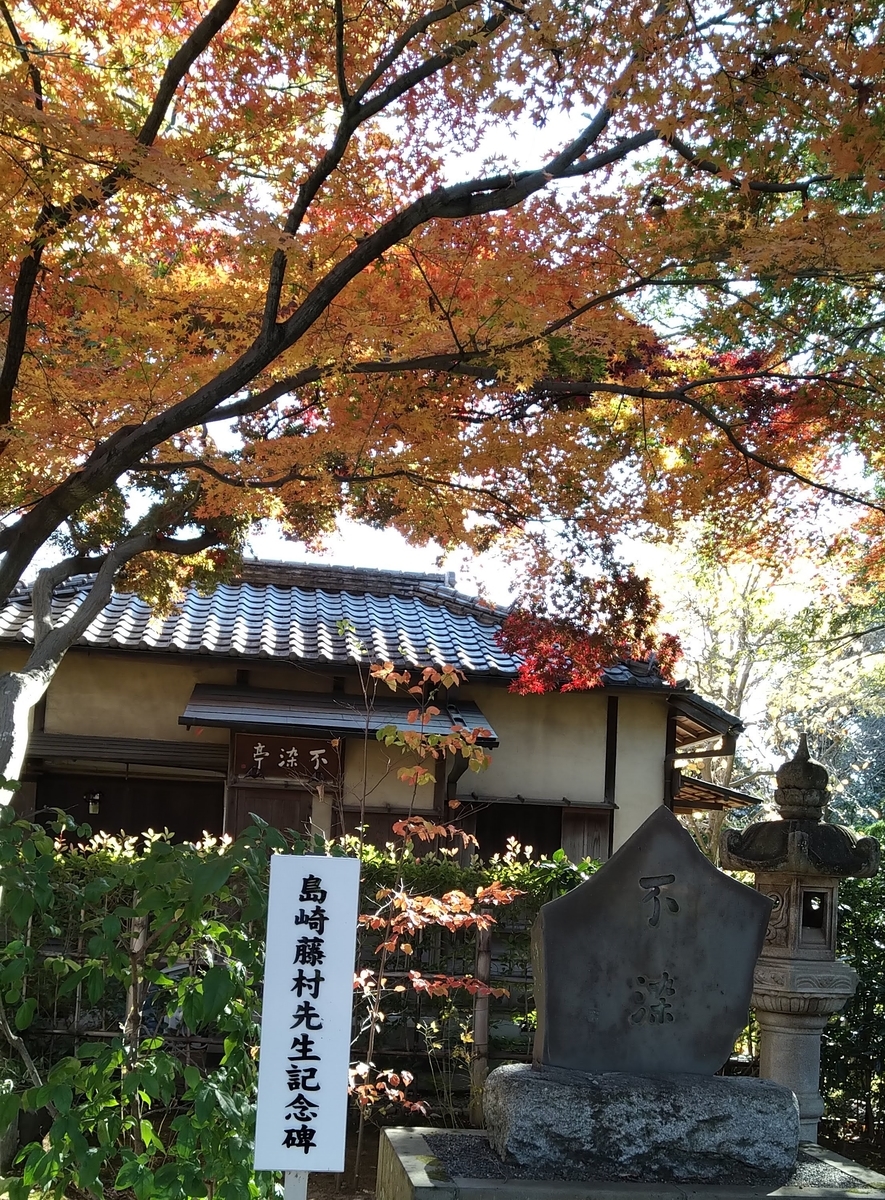 f:id:asuka201011:20201121131516j:plain