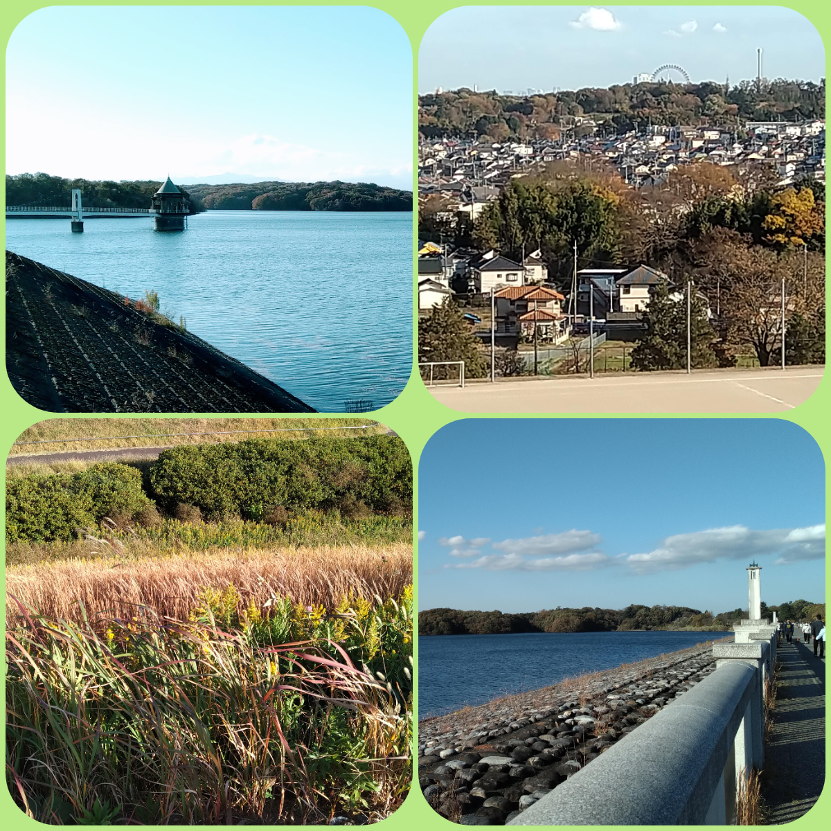 f:id:asuka201011:20201123171409j:plain