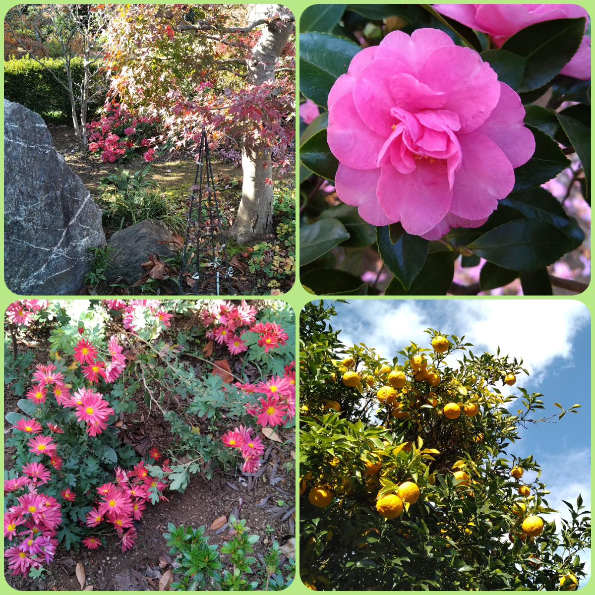 f:id:asuka201011:20201123171432j:plain